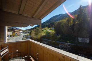 Haus Eder Steiner - Saalbach-Hinterglemm - 7
