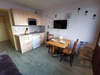 Studio cabine calme proche pistes ski, Les Adrets-Prapoutel - FR-1-771-70 - 2