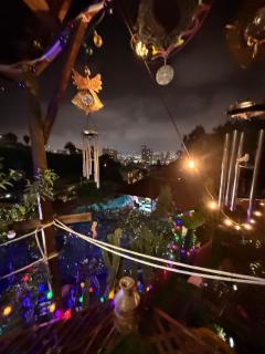 Garden and chill - 2