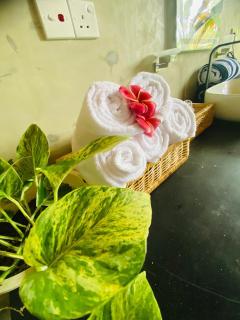 Still water Villa Tangalle - 7