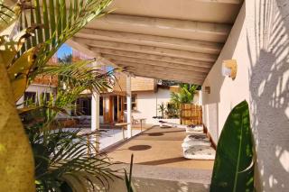 Dragon Fruit Surf Inn - 3