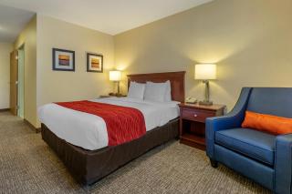 Comfort Inn Kennewick Richland - 5