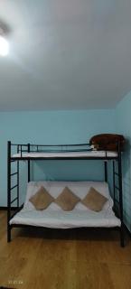 Jay bahadur Cottages and home stay - 4