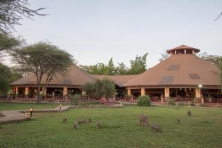 Kilima Safari Camp - 0