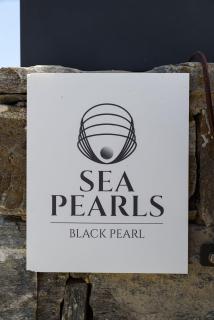 Black Pearl Villa - Sea Front - 5