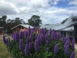Bruny Island Lodge - 6