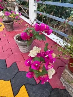 Casa Grande Homestay Anaviratty Munnar - 1