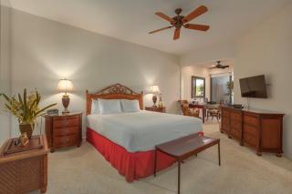 Enjoy Ocean Views from Mauna Lani Point A105 - 9