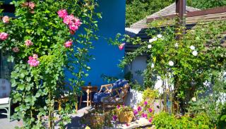 Resedinta Rotundu - 5