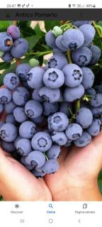 casa vacanza da ghislin - 8