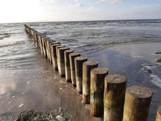 Appartements Post Hiddensee, Vitte - Vitte - 5