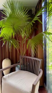 Kawung Villa Canggu - 6