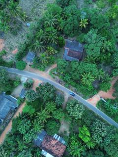 Sun Flower Homestay Sigiriya - 7
