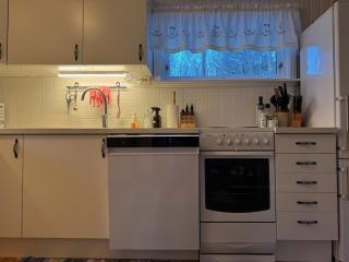 Cabin in Lofoten - Northern Lights view - 3