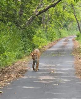 Full Moon Home Stay - 6