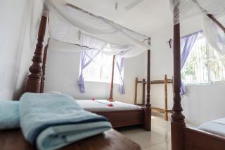 Kite Active Paje - 2