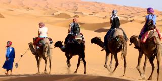 Desert Moon Camp - 2