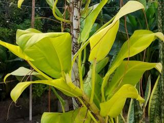 Miracle Home Stay - 1