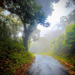 Sítio Maranatá, a mais bela vista do Pacoti! 20min de Guaramiranga! - 8