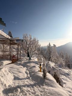 The Wyld - Cabins by Dotlife - 6