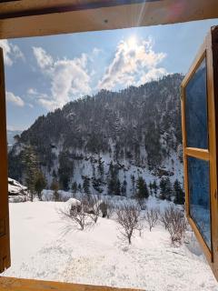 The Wyld - Cabins by Dotlife - 2