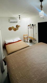 Baru chachalacas - 7