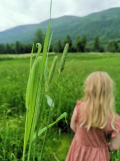 House at the farm! - 3