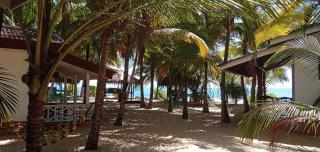 Ibisbird Beach Bungalows, Sport, Spa and Restaurant - 6