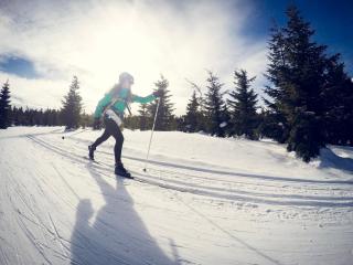 Apartmány Tyršovka, Krkonoše - Kabinet - 1