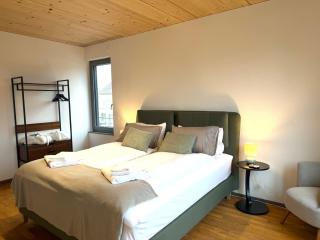 The Address Zurich-Zürichsee-Ruhe-kostenloser Parkplatz - Wettingen - 3