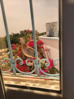 Le Dolmen de Mbour - 6