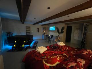 Le Cocon SPA Évasion Privée - jacuzzi - - Lunel - 8