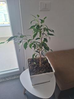 Kevin&Elisa Your home! - 7