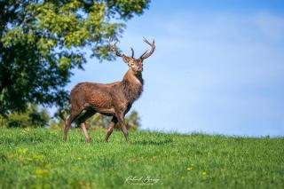Havre de Paix Petit dej inclus proche A75 - 5