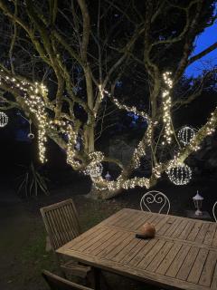 Château Maranne - Parthenay - 3