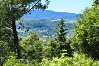 Le Bruant Chalet - 6