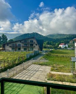 Snow Forest ԲԱԿՈՒՐԻԱՆԻ-ბაკურიანი-BAKURIANI - Bakuriani - 9