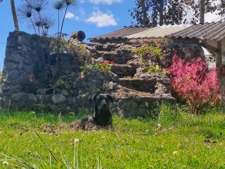 Casa de campo Las Flores - 4