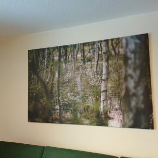 Haus Eickert - Ferienwohnung - 7