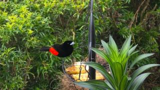 Alojamientos N&S - 2