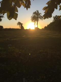 Casa do campo Flor de pitaya - 9