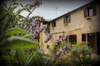 Campo Del Mare - Sirolo - 5
