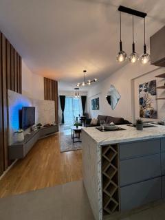 Luxury apartment with a fireplace and free parking! - 4