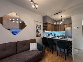 Luxury apartment with a fireplace and free parking! - 9