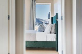 Tekapo Lupin Aura - 4