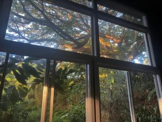 Sweet Spot Stay -Grotto Cottage Under Giant Trees - 1