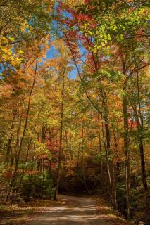 Cozy Smoky Mountain Escape w Jacuzzi Game Room - 2