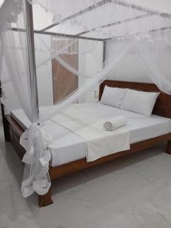 The King Coconut Collection - 2