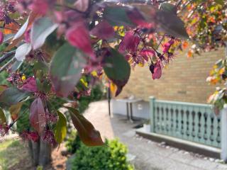 Västerås guestroom - 5