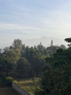 The Mountain Gaze - 0